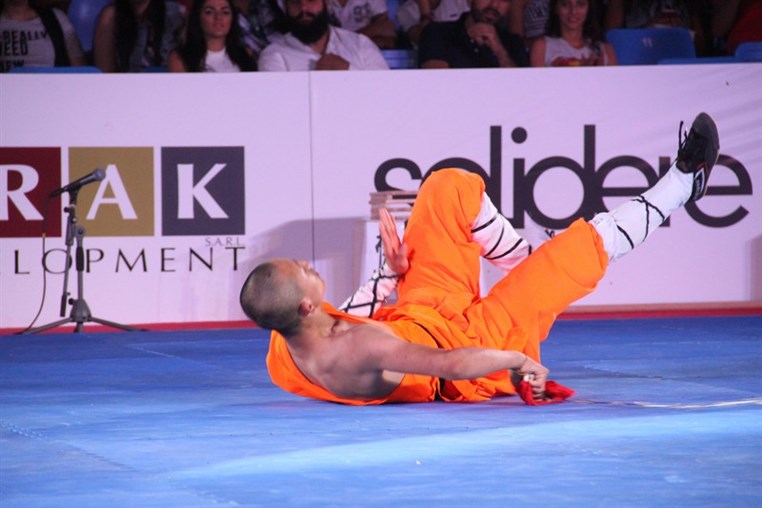 Martial Arts Festival